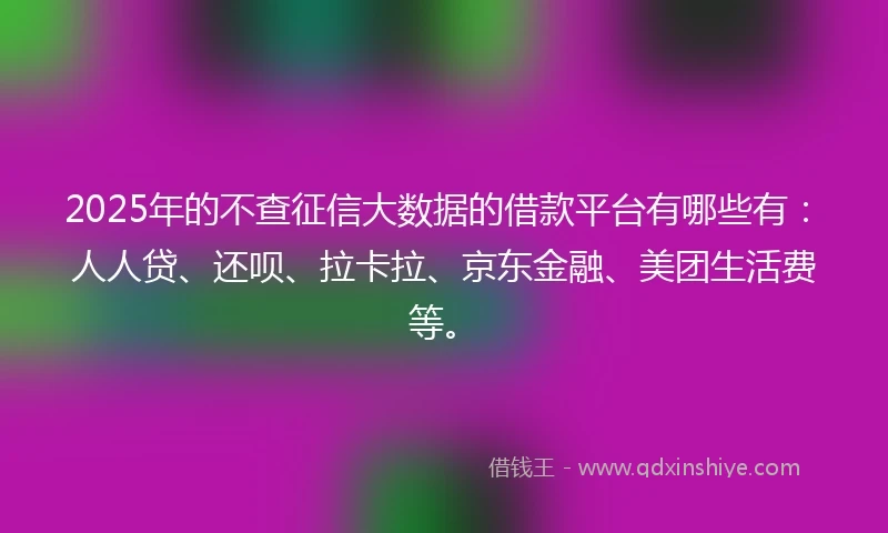 2025年的不查征信大数据的借款平台有哪些有：人人贷、还呗、拉卡拉、京东金融、美团生活费等。