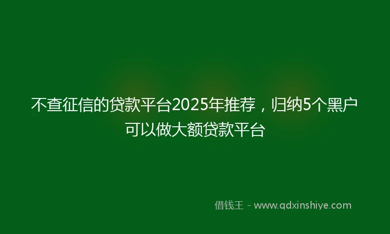 不查征信的贷款平台2025年推荐，归纳5个黑户可以做大额贷款平台