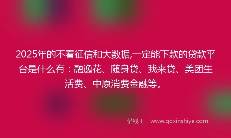 2025年的不看征信和大数据,一定能下款的贷款平台是什么有：融逸花、随身贷、我来贷、美团生活费、中原消费金融等。