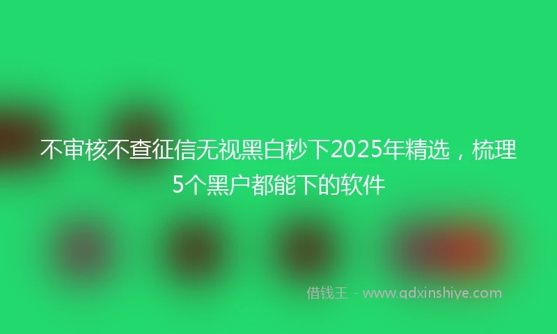 不审核不查征信无视黑白秒下2025年精选，梳理5个黑户都能下的软件