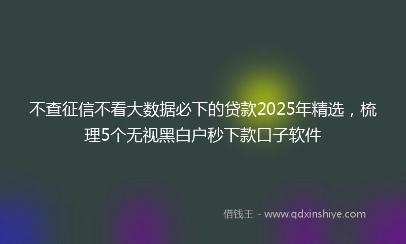 不查征信不看大数据必下的贷款2025年精选，梳理5个无视黑白户秒下款口子软件