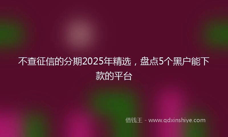不查征信的分期2025年精选，盘点5个黑户能下款的平台
