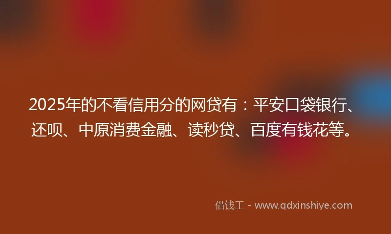 2025年的不看信用分的网贷有：平安口袋银行、还呗、中原消费金融、读秒贷、百度有钱花等。