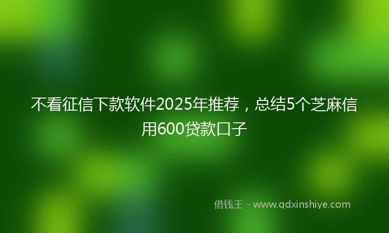 不看征信下款软件2025年推荐，总结5个芝麻信用600贷款口子
