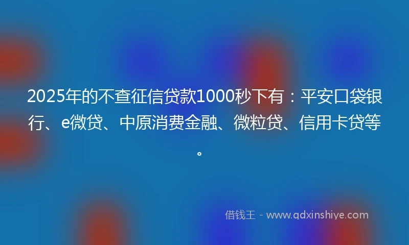 2025年的不查征信贷款1000秒下有：平安口袋银行、e微贷、中原消费金融、微粒贷、信用卡贷等。