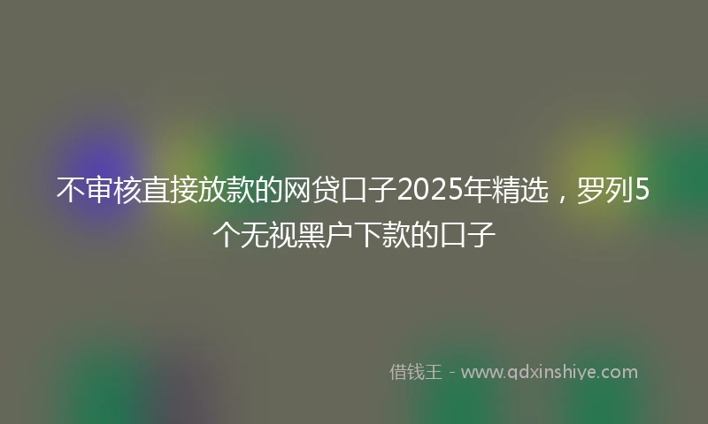 不审核直接放款的网贷口子2025年精选，罗列5个无视黑户下款的口子