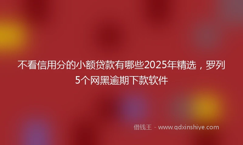 不看信用分的小额贷款有哪些2025年精选，罗列5个网黑逾期下款软件