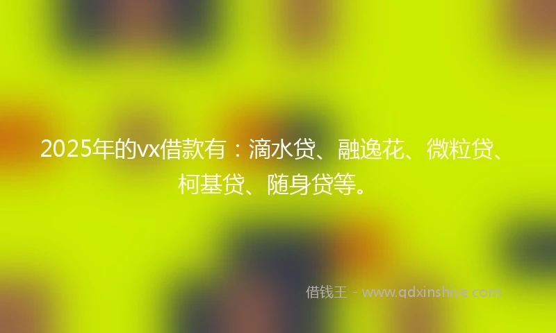 2025年的vx借款有：滴水贷、融逸花、微粒贷、柯基贷、随身贷等。