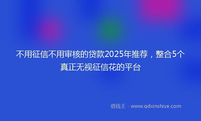 不用征信不用审核的贷款2025年推荐，整合5个真正无视征信花的平台
