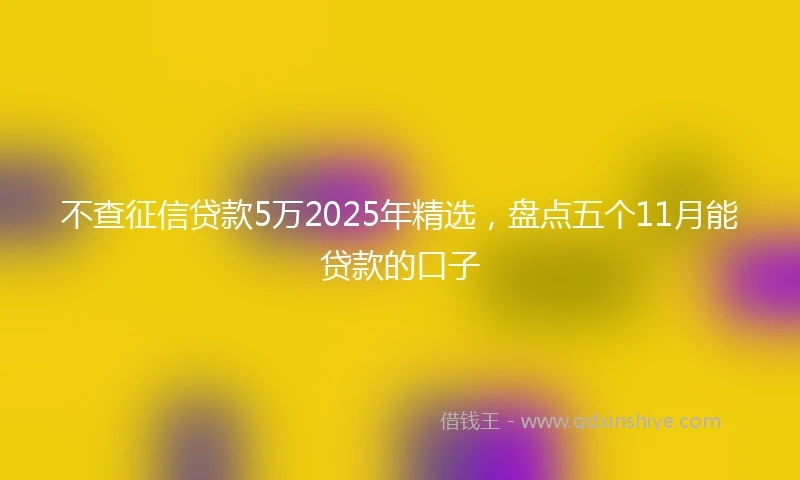不查征信贷款5万2025年精选，盘点五个11月能贷款的口子