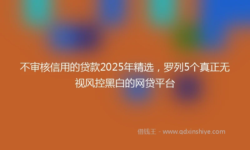 不审核信用的贷款2025年精选，罗列5个真正无视风控黑白的网贷平台