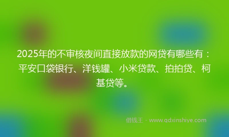2025年的不审核夜间直接放款的网贷有哪些有：平安口袋银行、洋钱罐、小米贷款、拍拍贷、柯基贷等。