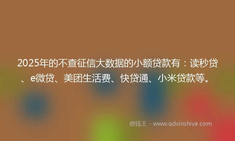 2025年的不查征信大数据的小额贷款有：读秒贷、e微贷、美团生活费、快贷通、小米贷款等。