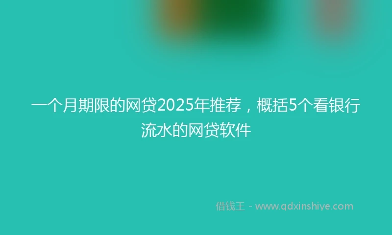 一个月期限的网贷2025年推荐，概括5个看银行流水的网贷软件
