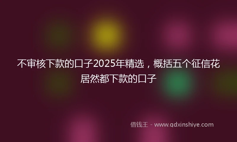 不审核下款的口子2025年精选，概括五个征信花居然都下款的口子
