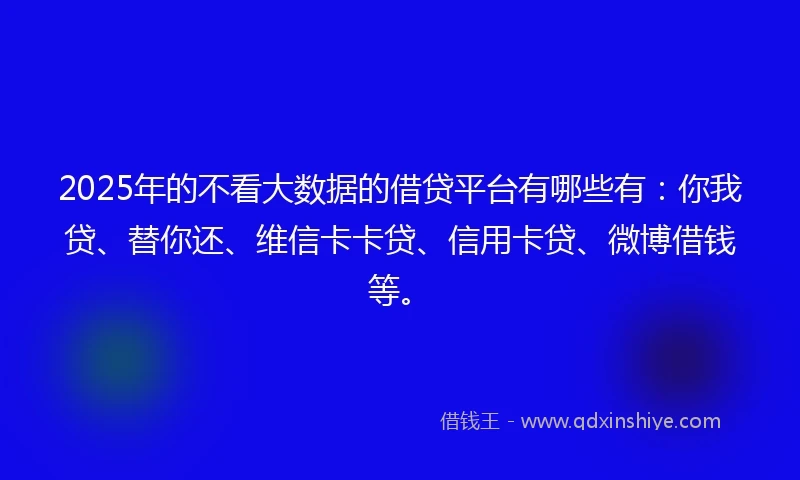 2025年的不看大数据的借贷平台有哪些有：你我贷、替你还、维信卡卡贷、信用卡贷、微博借钱等。