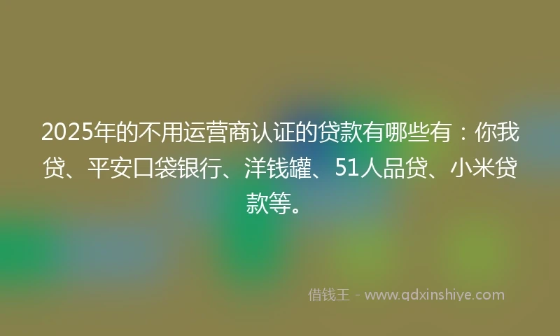 2025年的不用运营商认证的贷款有哪些有：你我贷、平安口袋银行、洋钱罐、51人品贷、小米贷款等。