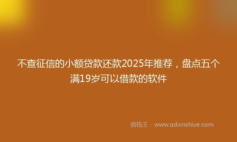 不查征信的小额贷款还款2025年推荐，盘点五个满19岁可以借款的软件