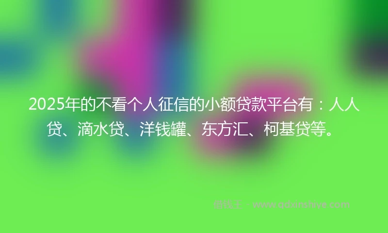 2025年的不看个人征信的小额贷款平台有：人人贷、滴水贷、洋钱罐、东方汇、柯基贷等。