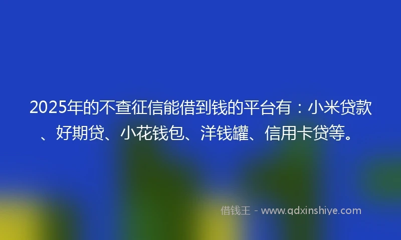 2025年的不查征信能借到钱的平台有：小米贷款、好期贷、小花钱包、洋钱罐、信用卡贷等。