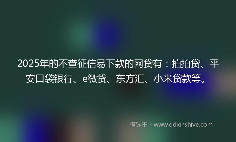 2025年的不查征信易下款的网贷有：拍拍贷、平安口袋银行、e微贷、东方汇、小米贷款等。