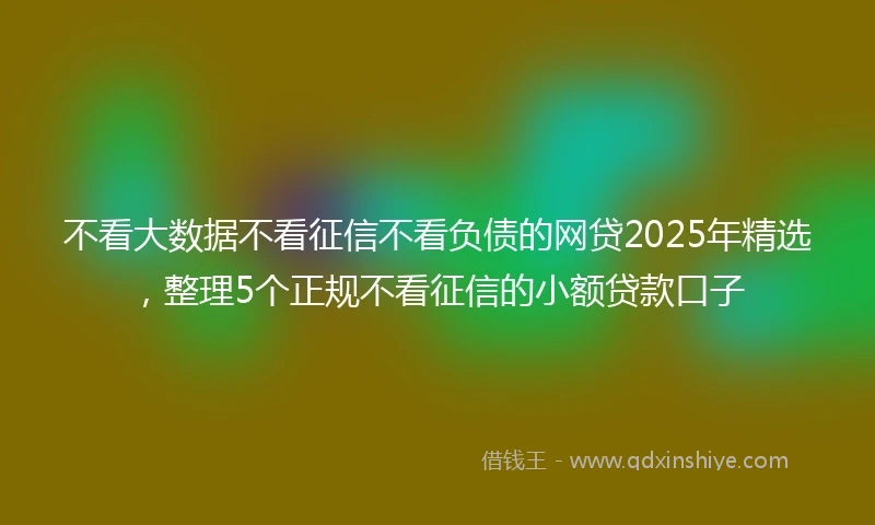 不看大数据不看征信不看负债的网贷2025年精选，整理5个正规不看征信的小额贷款口子