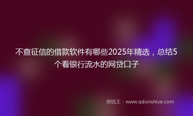 不查征信的借款软件有哪些2025年精选，总结5个看银行流水的网贷口子