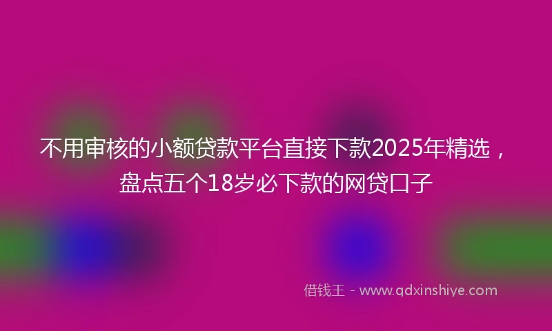 不用审核的小额贷款平台直接下款2025年精选，盘点五个18岁必下款的网贷口子