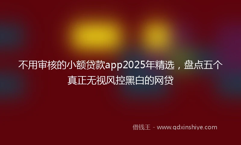 不用审核的小额贷款app2025年精选，盘点五个真正无视风控黑白的网贷