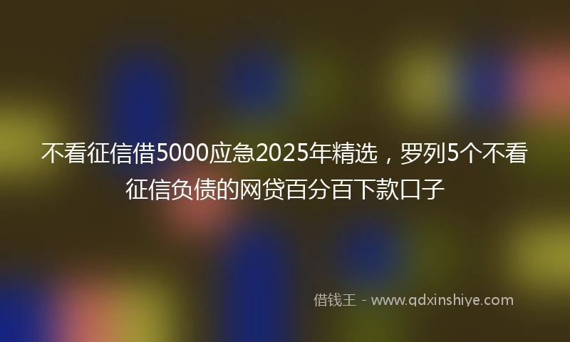 不看征信借5000应急2025年精选，罗列5个不看征信负债的网贷百分百下款口子
