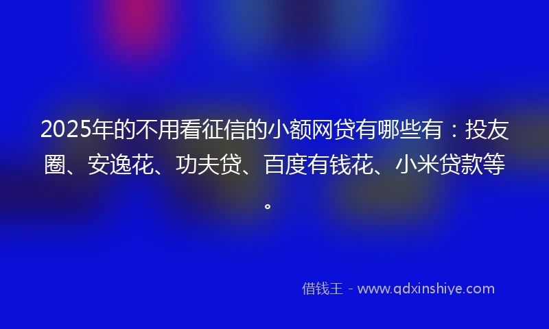 2025年的不用看征信的小额网贷有哪些有：投友圈、安逸花、功夫贷、百度有钱花、小米贷款等。