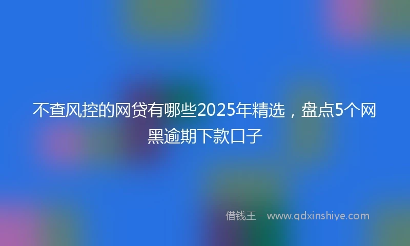 不查风控的网贷有哪些2025年精选，盘点5个网黑逾期下款口子