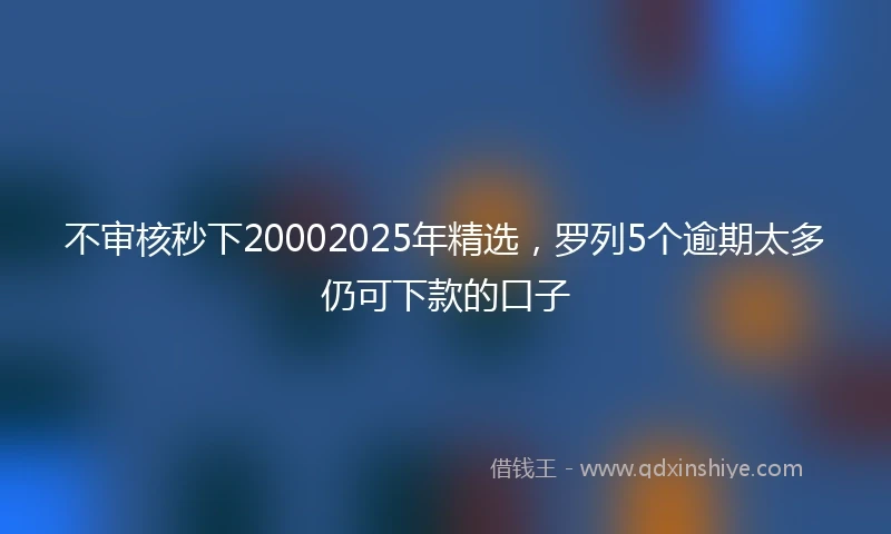 不审核秒下20002025年精选，罗列5个逾期太多仍可下款的口子