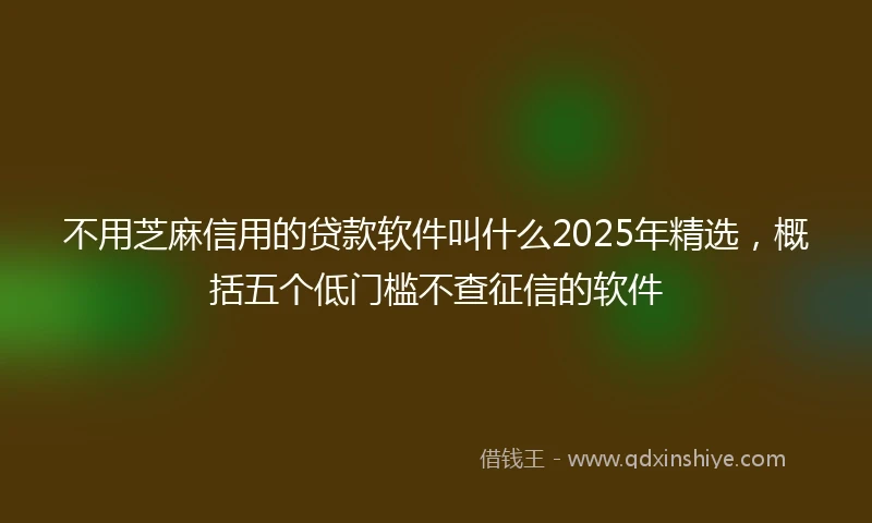 不用芝麻信用的贷款软件叫什么2025年精选，概括五个低门槛不查征信的软件