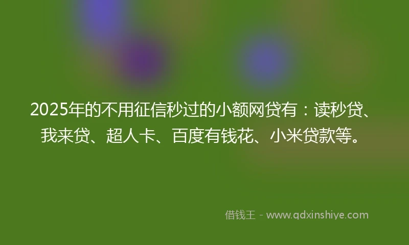 2025年的不用征信秒过的小额网贷有：读秒贷、我来贷、超人卡、百度有钱花、小米贷款等。