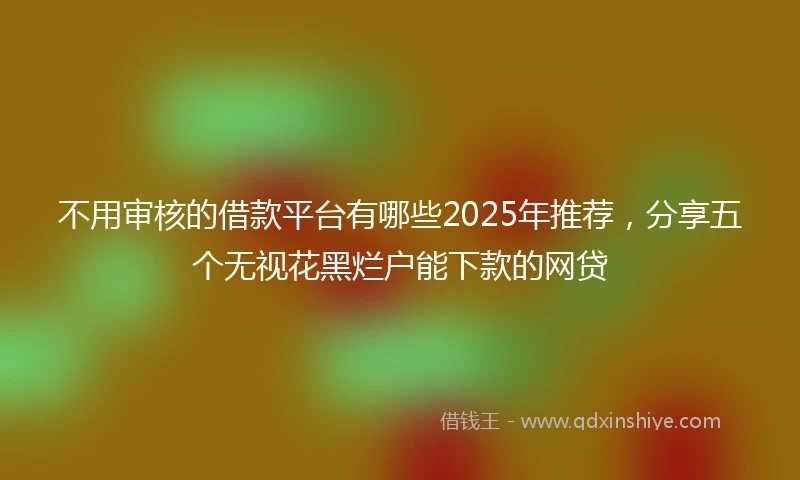 不用审核的借款平台有哪些2025年推荐，分享五个无视花黑烂户能下款的网贷