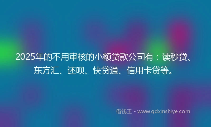 2025年的不用审核的小额贷款公司有：读秒贷、东方汇、还呗、快贷通、信用卡贷等。