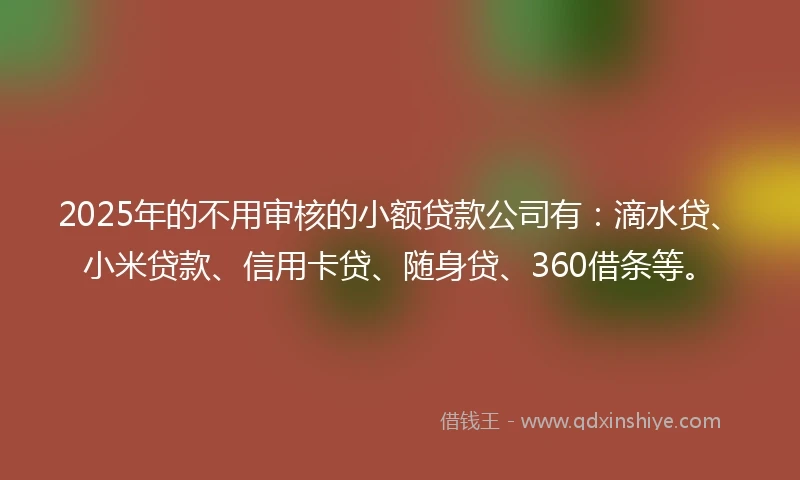 2025年的不用审核的小额贷款公司有：滴水贷、小米贷款、信用卡贷、随身贷、360借条等。