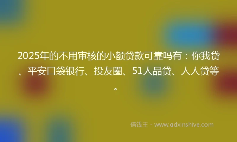 2025年的不用审核的小额贷款可靠吗有：你我贷、平安口袋银行、投友圈、51人品贷、人人贷等。