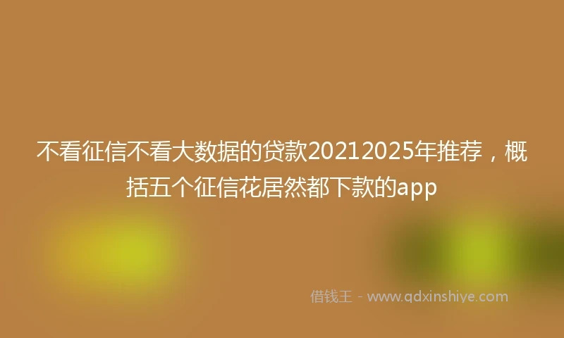 不看征信不看大数据的贷款20212025年推荐，概括五个征信花居然都下款的app