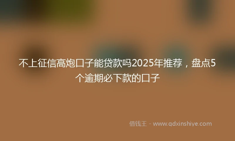 不上征信高炮口子能贷款吗2025年推荐，盘点5个逾期必下款的口子