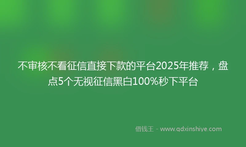 不审核不看征信直接下款的平台2025年推荐,盘点5个无视征信黑白100%秒下平台