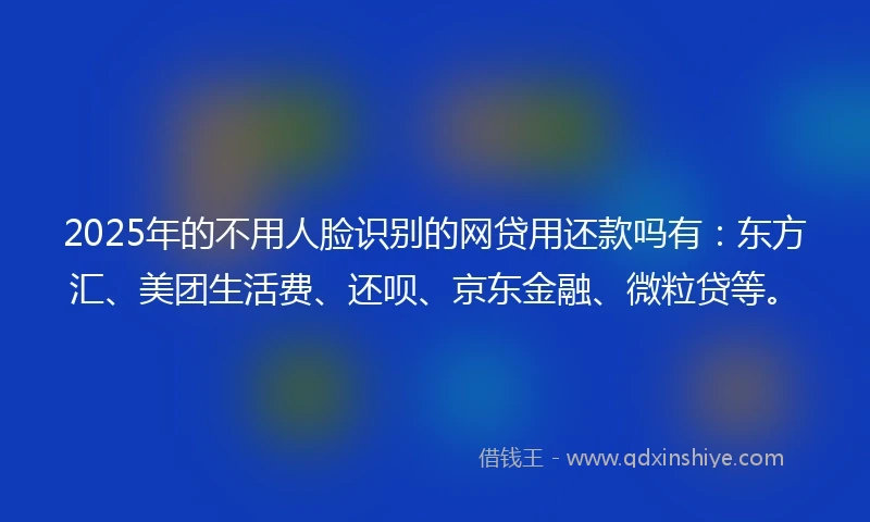 2025年的不用人脸识别的网贷用还款吗有：东方汇、美团生活费、还呗、京东金融、微粒贷等。