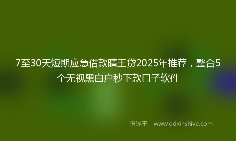 7至30天短期应急借款晴王贷2025年推荐，整合5个无视黑白户秒下款口子软件