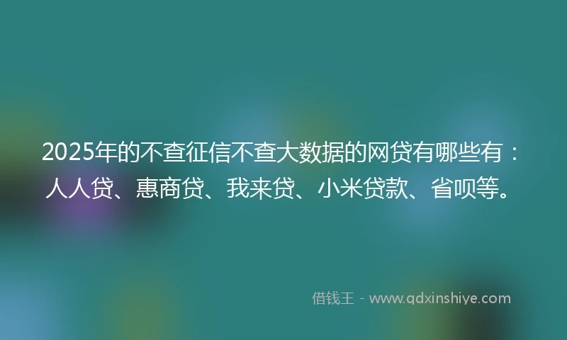 2025年的不查征信不查大数据的网贷有哪些有：人人贷、惠商贷、我来贷、小米贷款、省呗等。