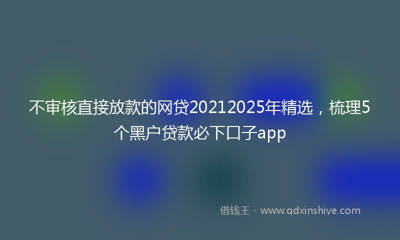 不审核直接放款的网贷20212025年精选，梳理5个黑户贷款必下口子app