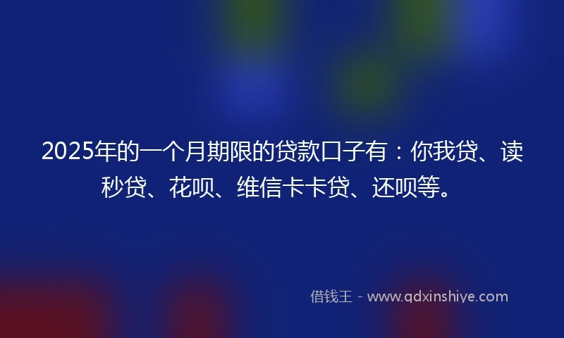 2025年的一个月期限的贷款口子有：你我贷、读秒贷、花呗、维信卡卡贷、还呗等。