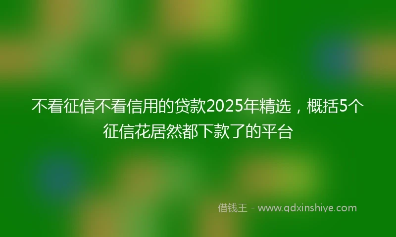 不看征信不看信用的贷款2025年精选，概括5个征信花居然都下款了的平台