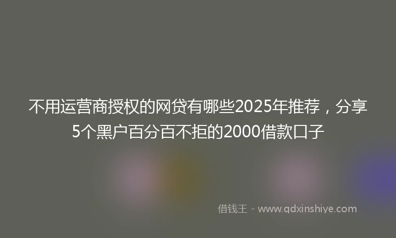 不用运营商授权的网贷有哪些2025年推荐，分享5个黑户百分百不拒的2000借款口子