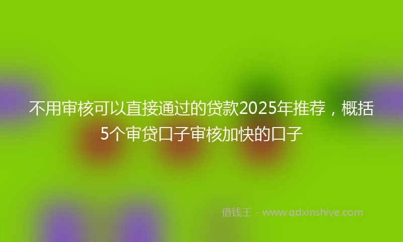 不用审核可以直接通过的贷款2025年推荐，概括5个审贷口子审核加快的口子